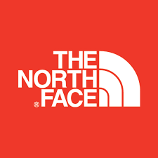 logo the north face
