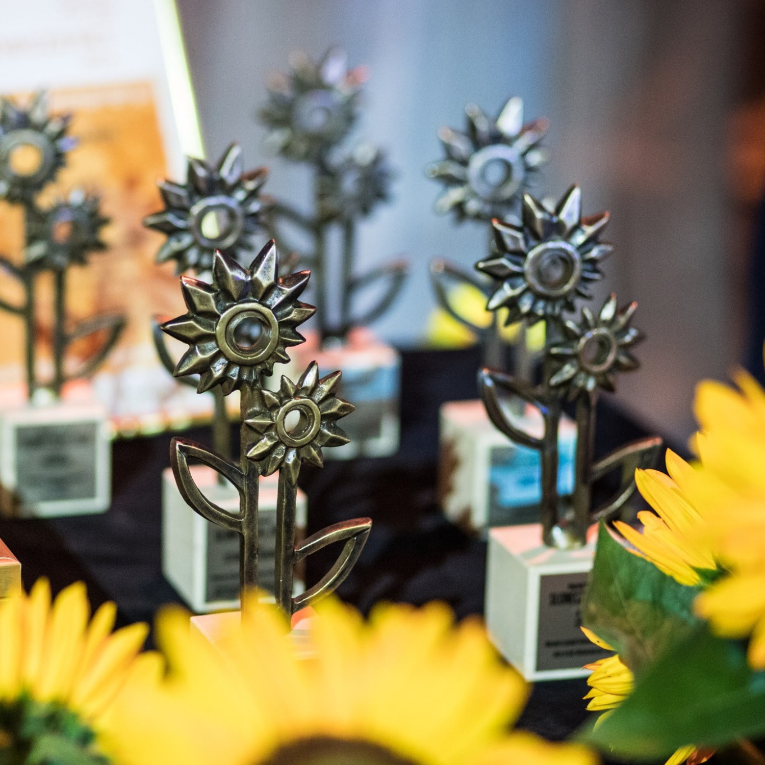 Fundacja Zwalcz Nudę z nominacją do Słoneczników 2025!